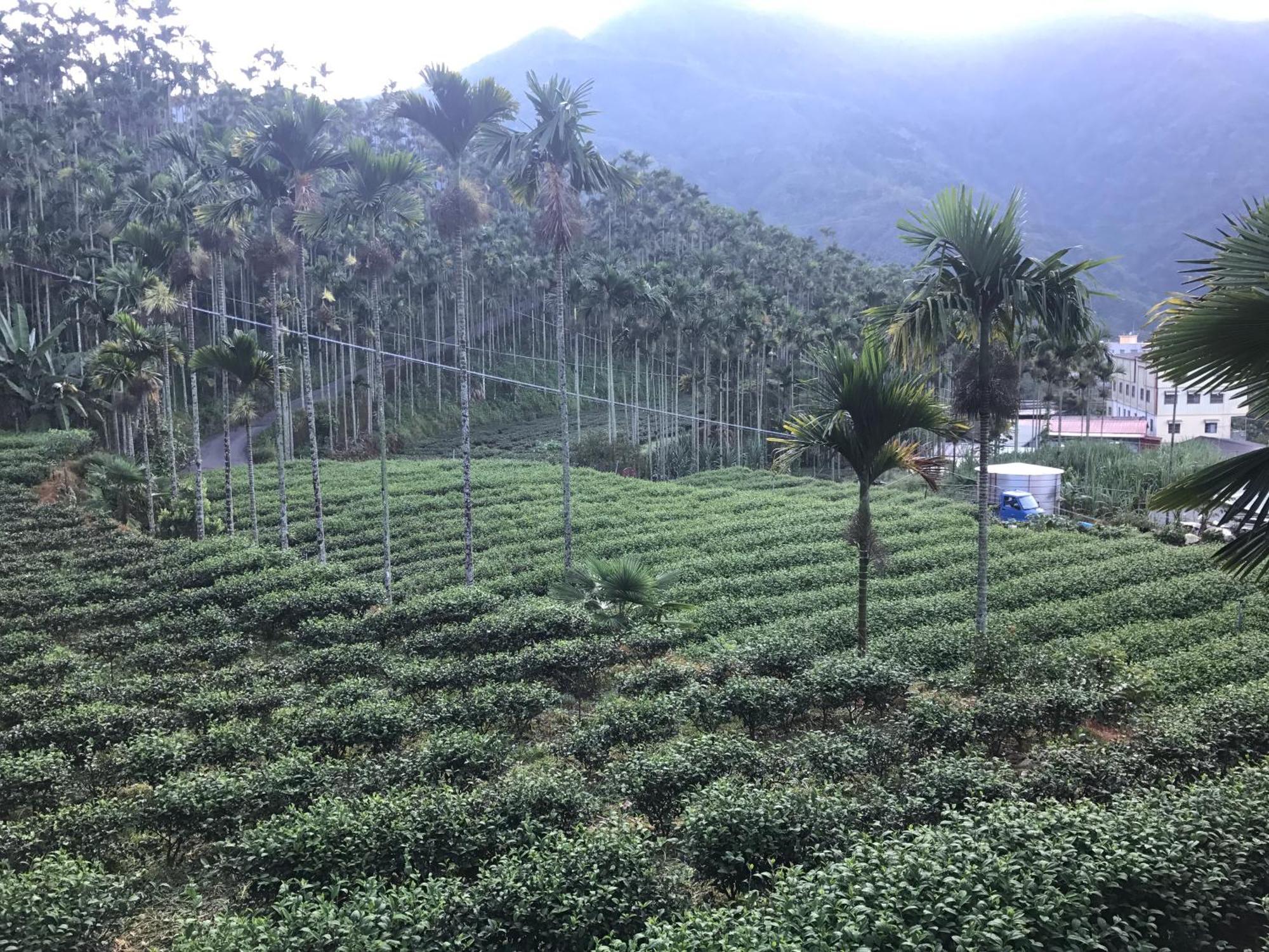 Ferienwohnung De Ren Tea Gardens Meishan Exterior foto